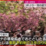 【造幣局】「桜の通り抜け」 3年ぶりに一般公開