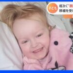 相次ぐ急性肝炎 生体肝移植受けた英国3歳女児は｜TBS NEWS DIG