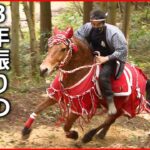 【復活】300年の歴史 ２度の中止乗り越え”シャングシャング馬”開催　新潟　NNNセレクション