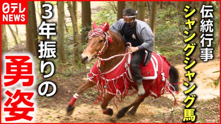 【復活】300年の歴史 ２度の中止乗り越え”シャングシャング馬”開催　新潟　NNNセレクション
