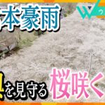 【ウェークアップ3月26日OA】熊本豪雨からの“復興を見守る桜”　熊本・人吉市