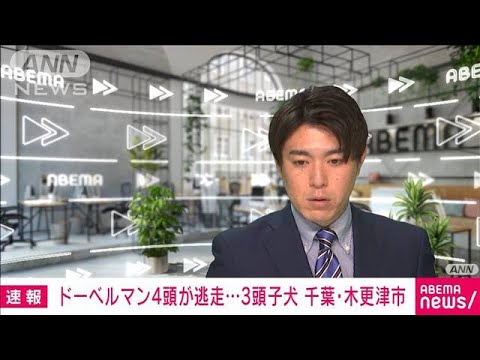 【速報】ドーベルマン4頭が逃げ出す　警察が捜索中　千葉・木更津市(2022年4月22日)