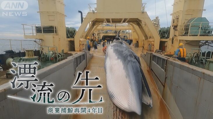 漂流の先～商業捕鯨再開4年目 クジラ肉はどこへ行く～【テレメンタリー2022】【yab山口朝日放送】