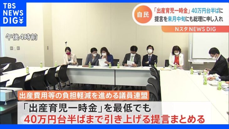 出産育児一時金「最低でも40万円台半ばまで増額を」自民議連が提言｜TBS NEWS DIG