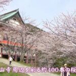 【令和のサクラ】山寺を彩る400本の桜 境内からの絶景 福岡・岡垣町