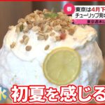 【4月下旬並みの陽気】初夏を感じるような1日 かき氷を食べる人も