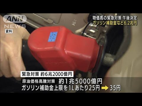 物価高の緊急対策決定へ　ガソリン補助金など6.2兆円規模(2022年4月26日)