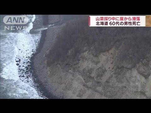 山菜採り中に崖から滑落・・・60代男性死亡　北海道(2022年4月23日)