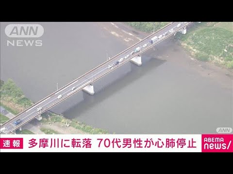 【速報】多摩川の「ガス橋」から70代男性が転落　心肺停止(2022年4月19日)