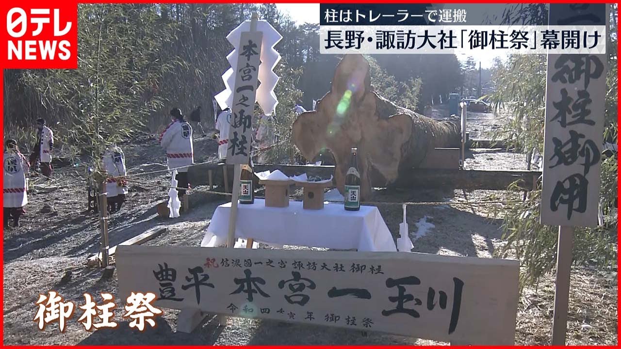 【7年に1度】諏訪大社「御柱祭」幕開け 柱はトレーラーで運搬
