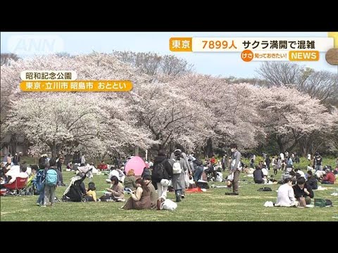 “桜満開”都内各地　花見で混雑　東京7899人感染(2022年4月4日)