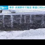 「変な音がする」道路に“80センチの穴”　東京・武蔵野市(2022年4月25日)