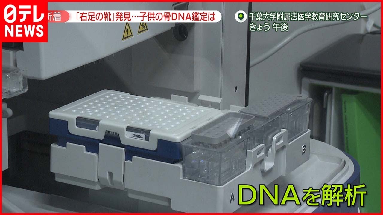 【DNA鑑定】“子どもの骨”DNA鑑定の現場は――「水分が多いと分解進むことも」「DNAが微量で抽出が難しい」 血液と違った複雑さも