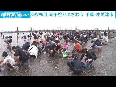 GW初日「潮干狩り」でにぎわう　大粒アサリが大漁(2022年4月29日)