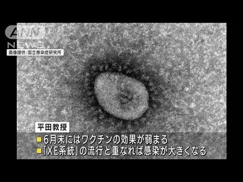 GW明けに感染1万人超も「XEと重なると“第7波”に」(2022年4月21日)