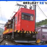 GW2日目 箱根登山鉄道で“貴重”な貨物電車見学会｜TBS NEWS DIG