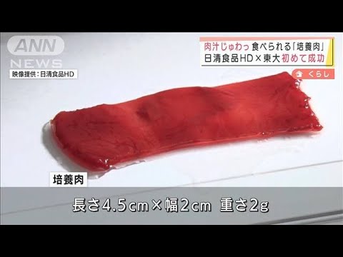 「食べられる培養肉」初めて成功　日清食品HD×東大(2022年4月1日)