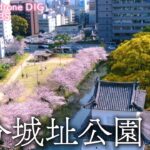 大分城址公園　大分県大分市【JNN sakuraドローンDIG】