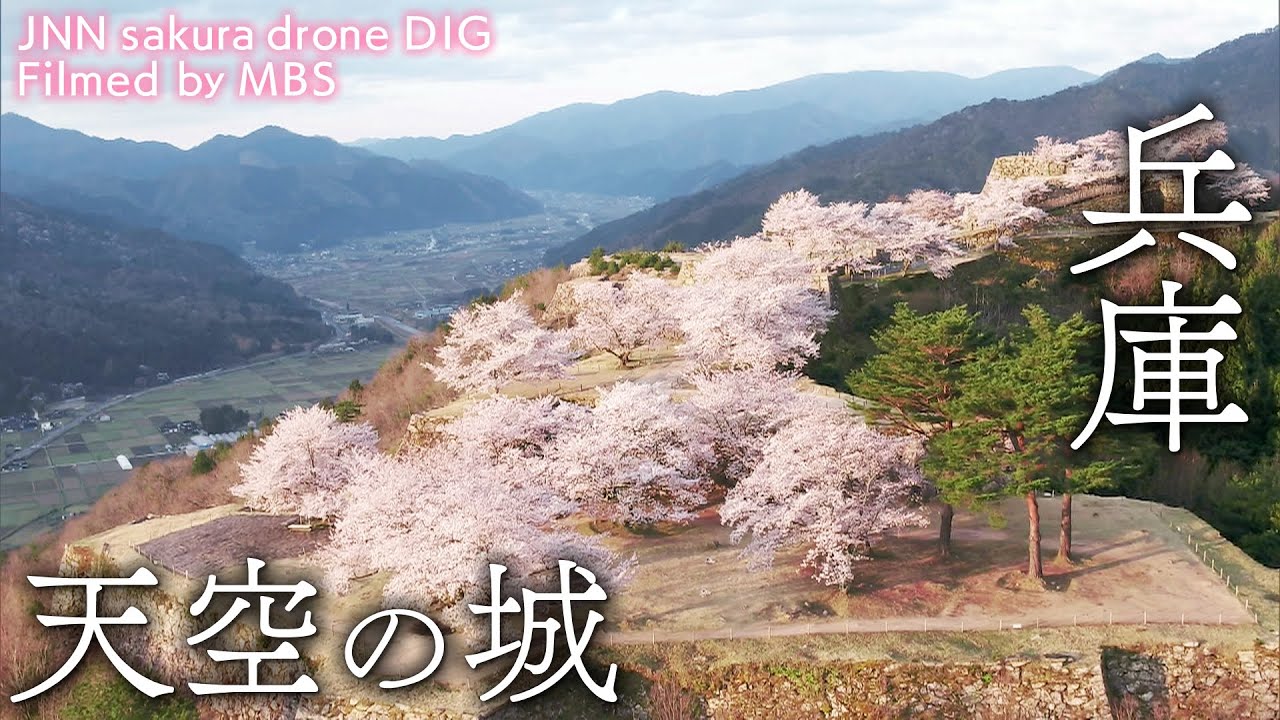 天空の城　兵庫県朝来市　【JNN sakuraドローンDIG】