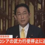 【LIVE】岸田総理コメント　 日・インドネシア首脳会談、ロシアの武力行使停止に連携確認（2022年4月29日）