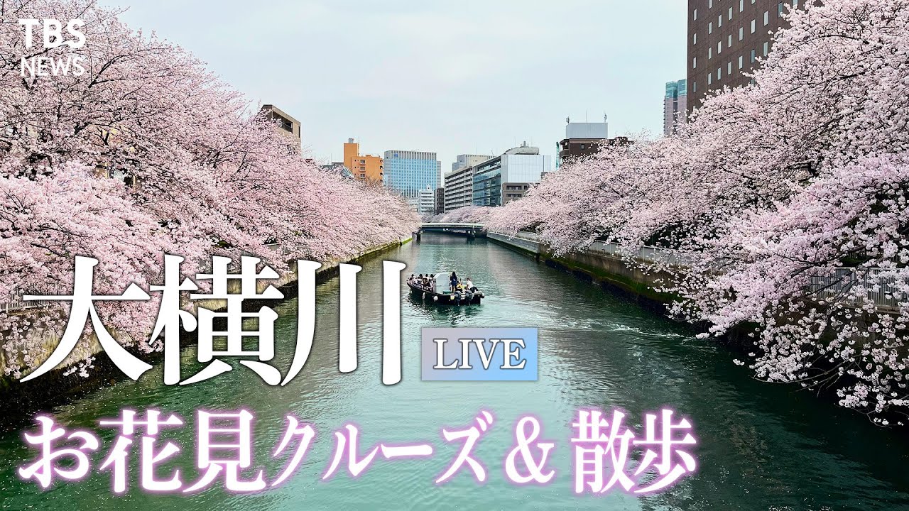 【LIVE】4/2 12:00~ 散りゆく桜 下町のお花見クルーズ&ゆったり散歩 in 東京