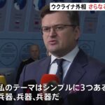 NATO外相会合 ウクライナさらなる軍事支援訴え