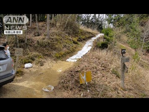 NHK発注工事で熊野古道の一部が破損(2022年4月16日)