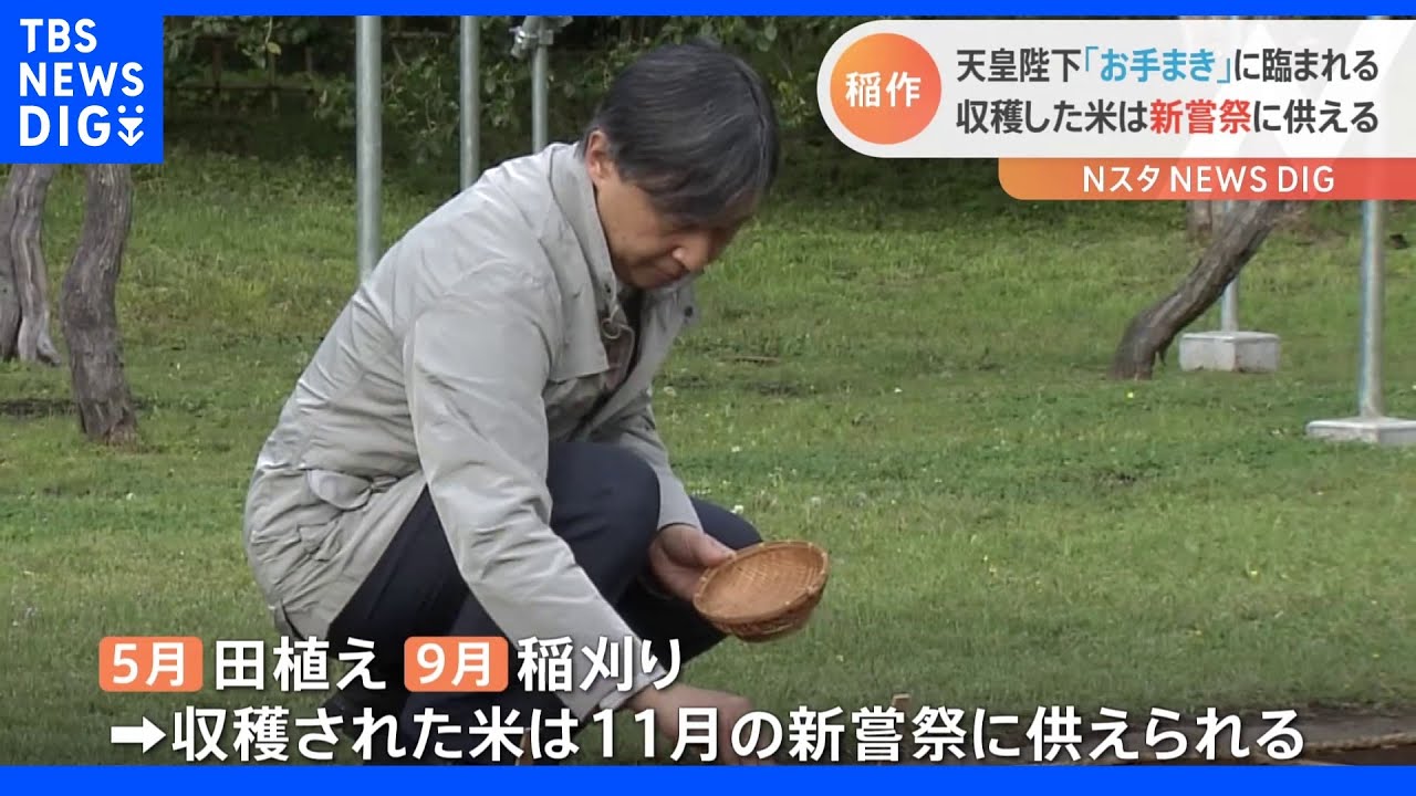 天皇陛下「お手まき」 今年最初の稲作行事|TBS NEWS DIG