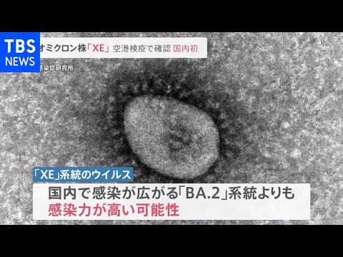オミクロン株のうち、感染力が高いとされる「XE」ウイルスが国内で初確認
