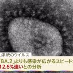 オミクロン株のうち、感染力が高いとされる「XE」ウイルスが国内で初確認