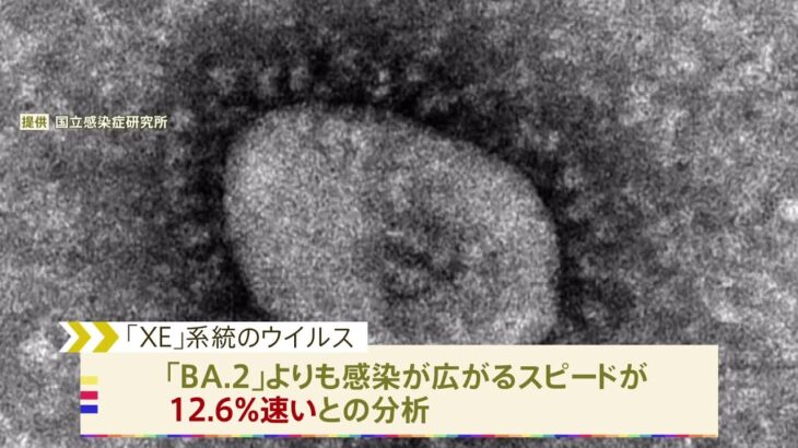 オミクロン株のうち、感染力が高いとされる「XE」ウイルスが国内で初確認