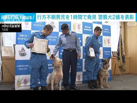 お手柄だワン！ 警察犬が行方不明の男児を1時間で発見(2022年5月18日)