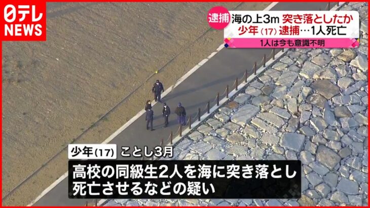 【逮捕】高校生が海で溺れ死亡…突き落としたか 17歳少年