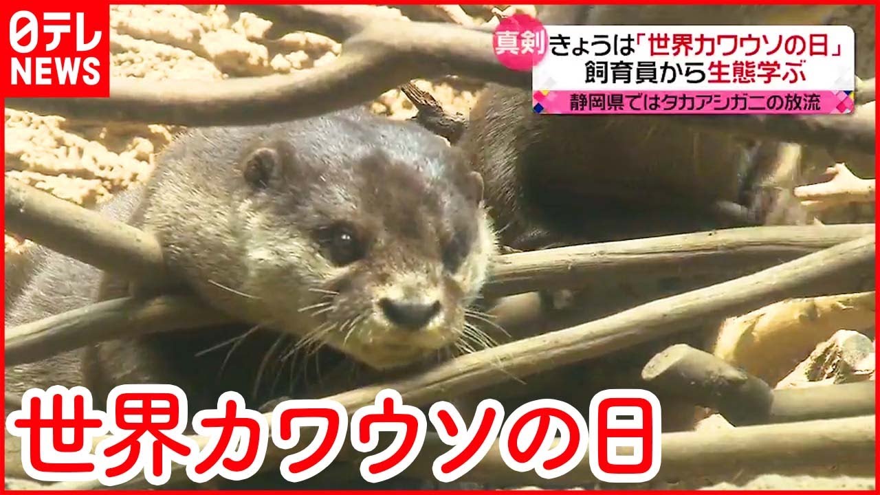【今日の1日】飼育員から生態学ぶ　ドイツビールを楽しむイベントも
