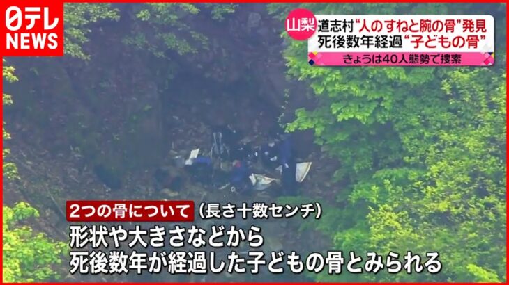 【山梨・道志村】11日発見の“人のすねと腕の骨” 子どものものか