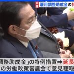 “1日最大1万5000円”雇調金の特例措置を3か月延長へ 岸田総理が表明 補正予算案｜TBS NEWS DIG