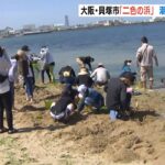 ＧＷ２日目「二色の浜」は潮干狩りを楽しむ家族連れらで賑わう　大阪・貝塚市（2022年5月1日）