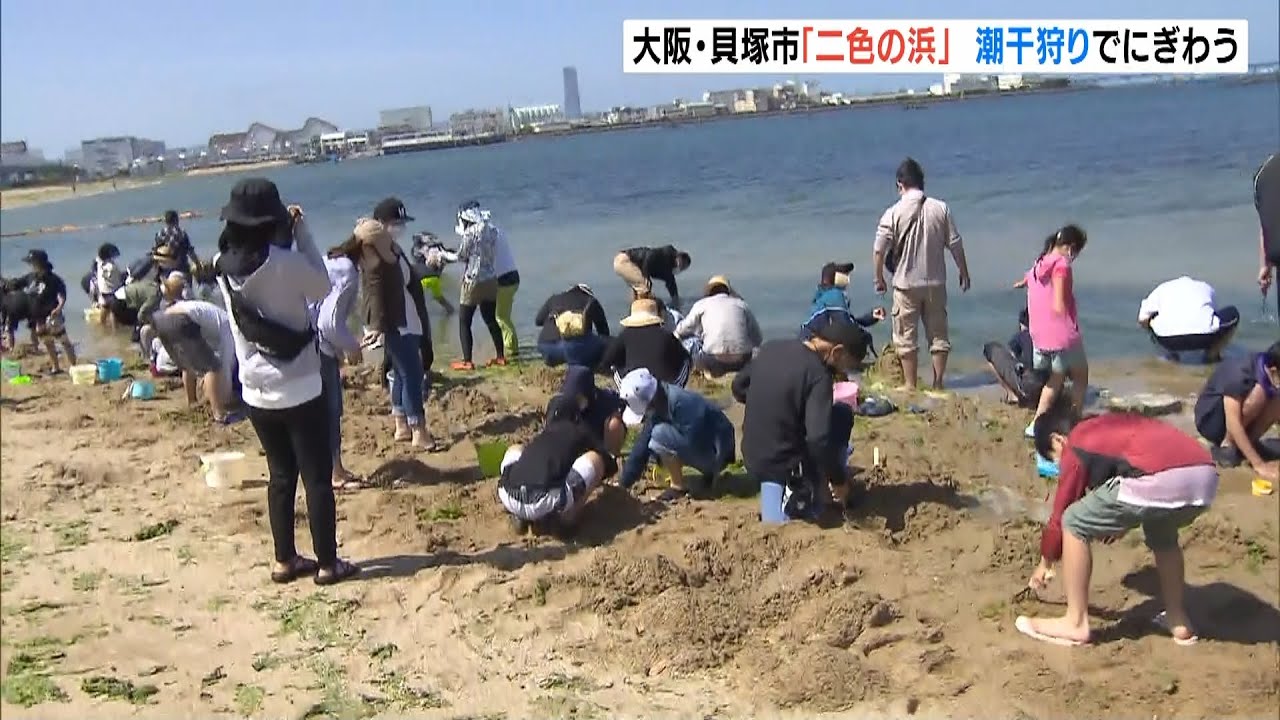 ＧＷ２日目「二色の浜」は潮干狩りを楽しむ家族連れらで賑わう　大阪・貝塚市（2022年5月1日）