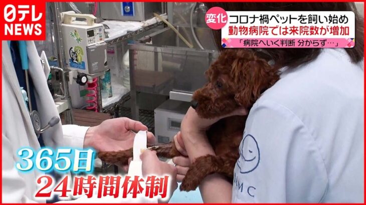 【動物病院“密着“】コロナ禍 飼い主とペットに変化も