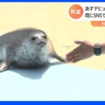 東武動物公園「もちもち君」デビュー間近【Ｎスタ】｜TBS NEWS DIG
