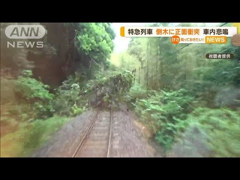 車内に響き渡る悲鳴・・・特急列車“倒木”に正面衝突(2022年5月3日)