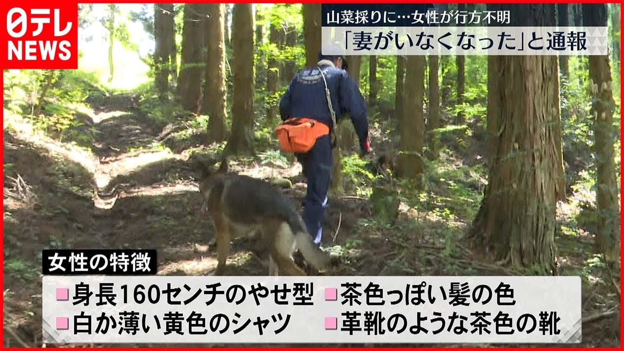 【行方不明】「妻がいなくなった」山菜採りの女性 熊本
