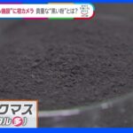 「世界的な電池争奪戦で生き残れ」 ＥＶ人気で懸念される原材料不足・・日本の新たな一手は貴重な“黒い粉”｜TBS NEWS DIG