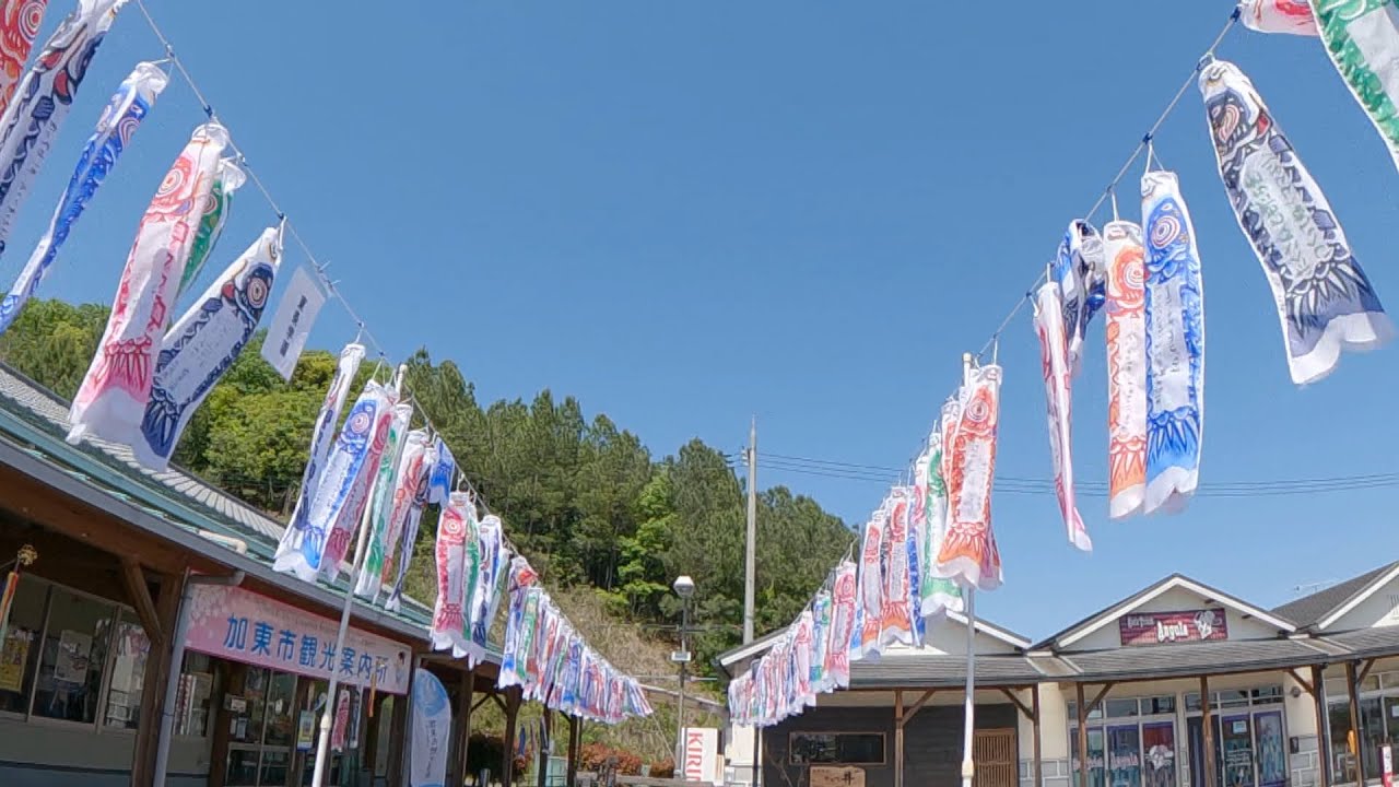 子どもの夢を乗せて空泳ぐ『播磨鯉』残るは２軒のみとなった伝統の工房　兵庫・加東市（2022年5月5日）