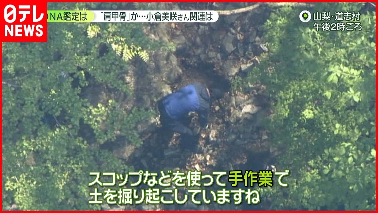【山梨・道志村】腐葉土の下で“肩甲骨”発見　「DNA鑑定“難航”の可能性」専門家が指摘