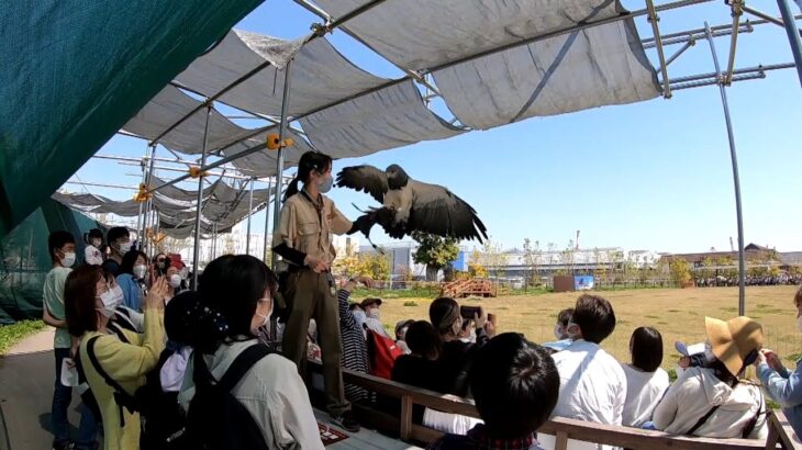 『鳥が舞い歓声が起こると…涙が出そうに』去年ＧＷは休園した神戸どうぶつ王国に賑わい！園長が噛み締める「やれる喜び」（2022年5月5日）