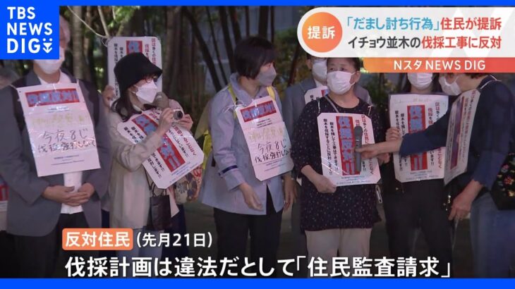 東京・神田のイチョウ伐採は「違法」 反対住民が千代田区に賠償請求｜TBS NEWS DIG