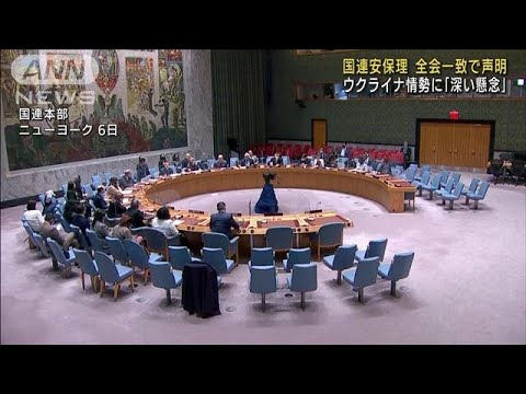 国連安保理　ウクライナ情勢に「深い懸念」初の声明(2022年5月7日)