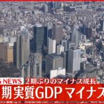 【速報】1～3月期の実質GDP年率－1.0％　2期ぶりのマイナス成長