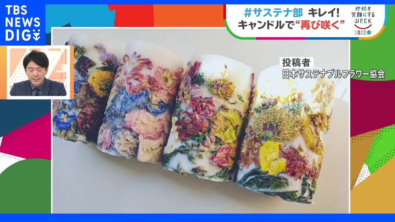 【＃サステナ部】廃棄の花がキャンドルに！３つの華やかＳＤＧｓ｜TBS&nbsp;NEWS&nbsp;DIG